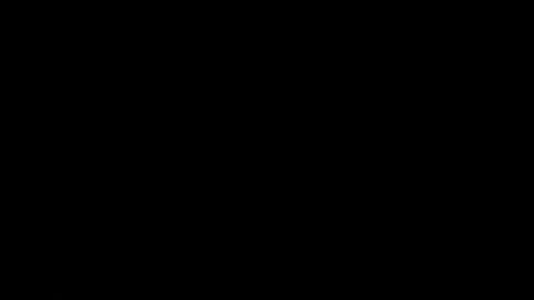12033